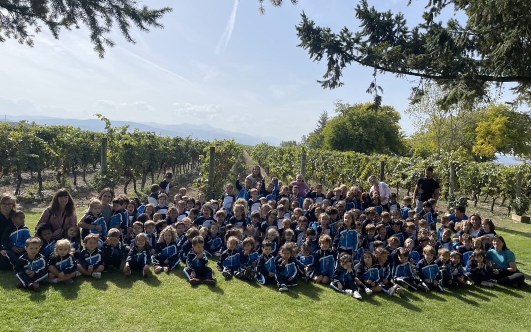 Visita a la bodega «La Emperatriz»